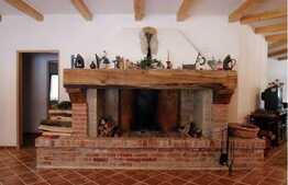 Vanzare casa cu 4 camere, 320 mp! Teren de 1800 mp! Zona Somesul Rece!