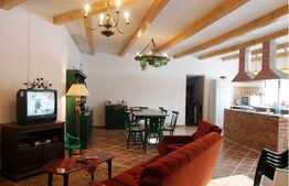 Vanzare casa cu 4 camere, 320 mp! Teren de 1800 mp! Zona Somesul Rece!