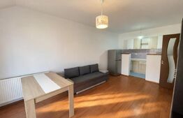 Apartament 2 camere, 43 mp, semidecomandat, etaj intermediar, zona Porii