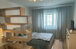 Apartament 1 camera, 40 mp, zona strazii Calea Floresti 