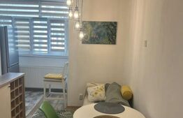 Apartament 1 camera, 40 mp, zona strazii Calea Floresti 