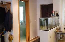 Vanzare casa insiruita, 142 mp utili, 225 mp teren, zona nou dezvoltata