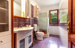 Casă / Vilă cu 6 camere de închiriat, tip estate, 0% comision