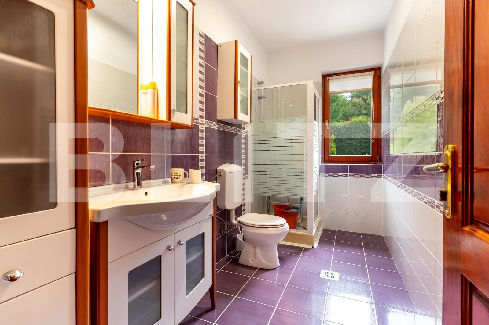 Casa de închiriat 6 camere Manastur - 198543CI | BLITZ Cluj-Napoca | Poza13