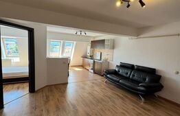 Apartament 2 camere, semidecomandat, zona Somesului