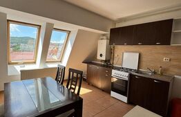 Apartament 2 camere, semidecomandat, zona Somesului