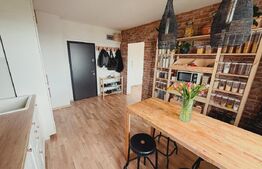 Apartament 2 camere, 48 mp, balcon, et intermediar, zona Iulius, Gheorgheni