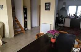 Vanzare duplex, 180 mp, 345 mp teren, zona de case si vile