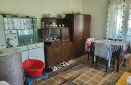 Casa de vanzare, 89 mp + teren de 4.200 mp - Cornești