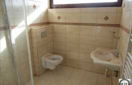 Vanzare casa individuala, 170 mp utili, 2500 mp teren, zona linistita