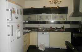 Duplex 4 camere, 110 mp, teren de 175 mp! Zona de case!