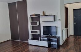 Apartament 1 camera, 40 mp, balcon 10 mp, Buna ziua 