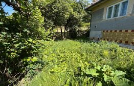 Casa individuala de vanzare, 83 mp + 1700 mp teren - Mociu
