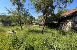 Casa individuala de vanzare, 83 mp + 1700 mp teren - Mociu