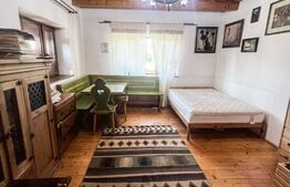 Casă cu 2 clădiri, foișor generos și teren de 3300 mp - Cornesti 