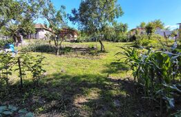 Casa individuala 70 mp, teren 926 mp, in Gădălin, Comuna Jucu