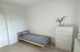 Apartament 3 camere, renovat, 64 mp, zona BIG - Manastur