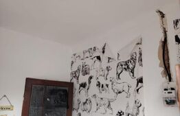 Spatiu comercial, 35 mp, zona Centrala - Campia Turzii