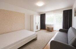 Apartament 2 camere decomandate, 60 mp, balcon, zona Lunii – Zorilor