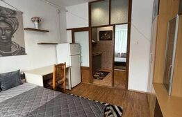 Garsonieră luminoasă, 20 mp, baie renovată, etaj intermediar
