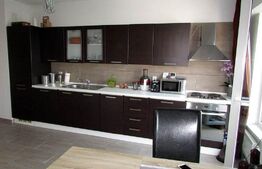 2 camere, mobilat modern, A.C., zona Plopilor Vest