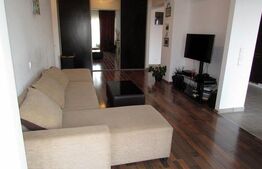 2 camere, mobilat modern, A.C., zona Plopilor Vest