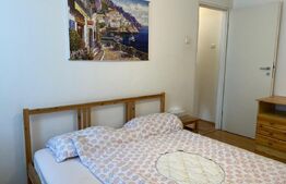  Apartament 2 camere, pet friendly, 50 mp, zona Parcul Central