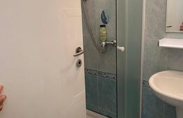 Apartament 2 camere, pet friendly, 50 mp, zona Parcul Central