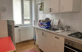  Apartament 2 camere, pet friendly, 50 mp, zona Parcul Central