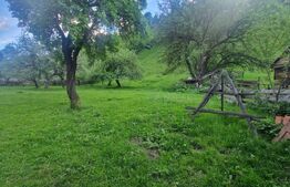 Vila in Moeciu de Sus - 12 camere teren 4780 mp - bonus 2000 mp teren