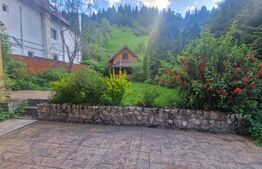 Vila in Moeciu de Sus - 12 camere teren 4780 mp - bonus 2000 mp teren