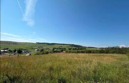  Teren intravilan 3.834 mp Babutiu - Vultureni | Panorama superba | Ideal casa 