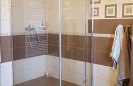 Vanzare casa individuala, 350 mp utili, 1100 mp teren, zona linistita