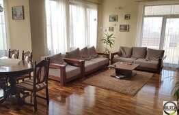 Vanzare casa individuala, 350 mp utili, 1100 mp teren, zona linistita