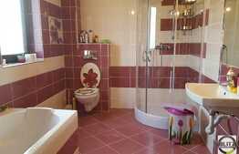 Vanzare casa individuala, 350 mp utili, 1100 mp teren, zona linistita