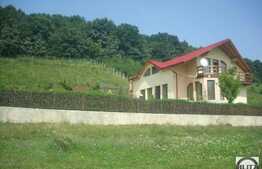 Casa individuala, 260 mp utili, 4000 mp teren, front 60 ml, zona linistita