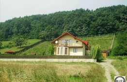 Casa individuala, 260 mp utili, 4000 mp teren, front 60 ml, zona linistita