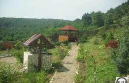 Casa individuala, 260 mp utili, 4000 mp teren, front 60 ml, zona linistita