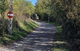 Oportunitate Unică: Parcea de 553 mp + cote drum în Borhanci, Cluj-Napoca