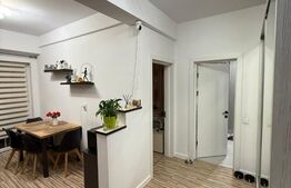 Apartament 1 camera, pet friendly, zona Buna Ziua