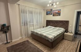 Apartament 1 camera, 40mp, pet friendly, Buna Ziua