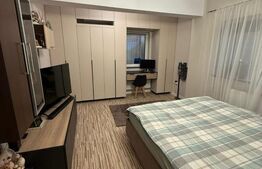 Apartament 1 camera, 40mp, pet friendly, Buna Ziua