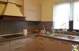 Vanzare casa individuala, 350 mp utili, 730 mp teren, zona linistita