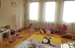 Vanzare casa individuala, 350 mp utili, 730 mp teren, zona linistita