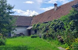 Casă cu grădină la râu, 120 mp, sat Berivoi – Centru