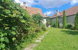 Casă cu grădină la râu, 120 mp, sat Berivoi – Centru