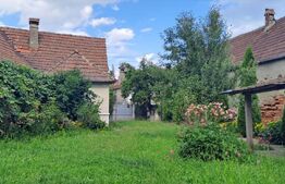 Casă cu grădină la râu, 120 mp, sat Berivoi – Centru