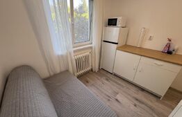 Garsoniera, 11 mp, renovata, zona Liviu Rebreanu 