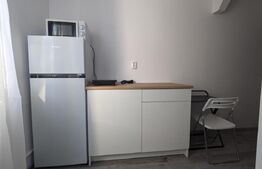 Garsoniera, 11 mp, renovata, zona Liviu Rebreanu 