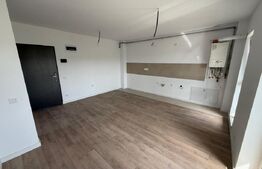Apartament 2 camere, 50mp, intermediar, balcon, garaj, Tineretului